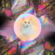 Illustration for article titled Its Like Taking Drugs and Looking at Cats